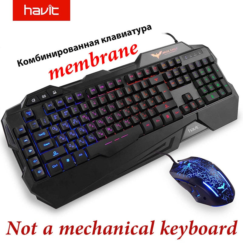 HAVIT HV-KB432L Gaming Keyboard